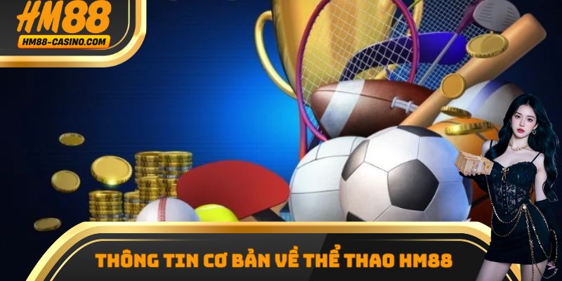 Một vài thông tin chung cần nắm được về sảnh thể thao HM88