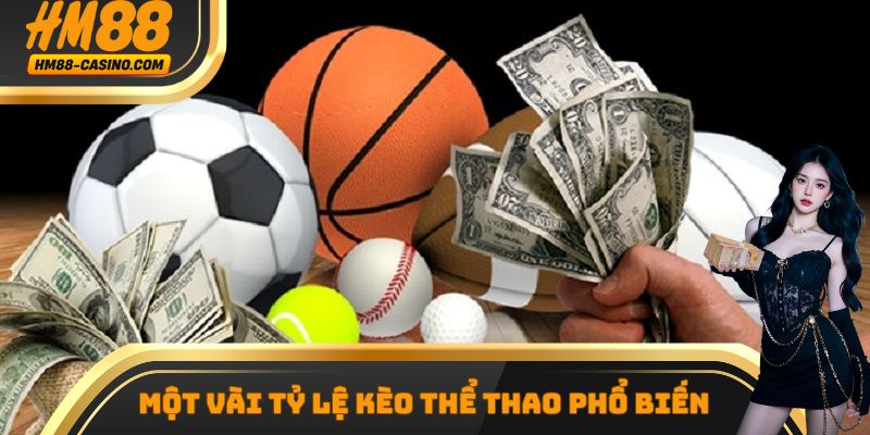 Những tỷ lệ cược phổ biến nhất tại sảnh thể thao HM88